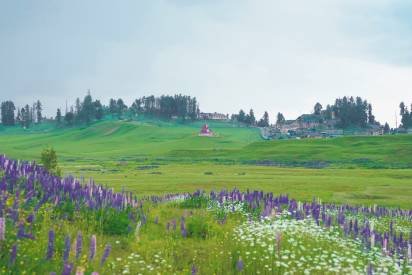 Kashmir Honeymoon Packages